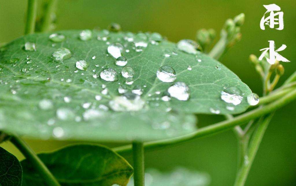 雨水！